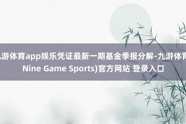九游体育app娱乐凭证最新一期基金季报分解-九游体育(Nine Game Sports)官方网站 登录入口