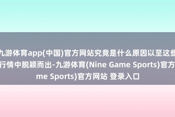 九游体育app(中国)官方网站究竟是什么原因以至这些廉价股在本轮行情中脱颖而出-九游体育(Nine Game Sports)官方网站 登录入口